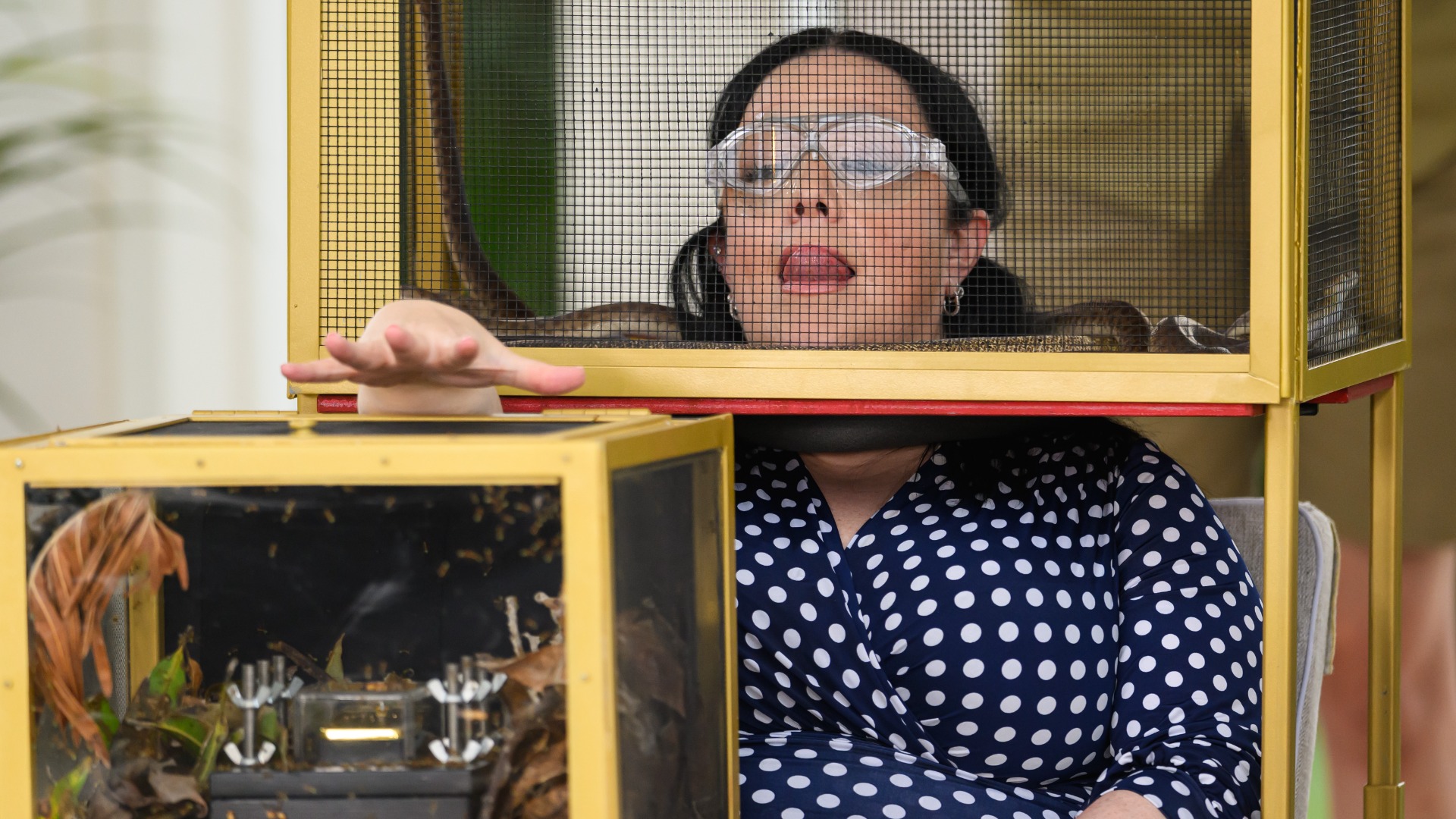 Lisa Riley on I&#039;m A Celebrity