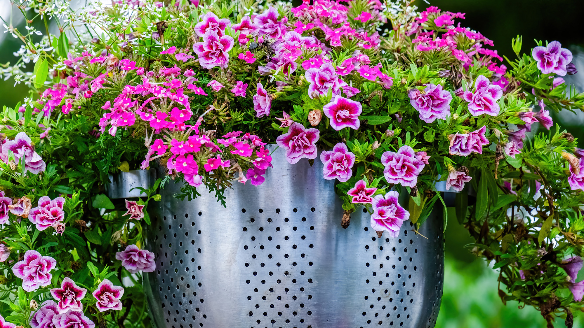 Colander hanging basket