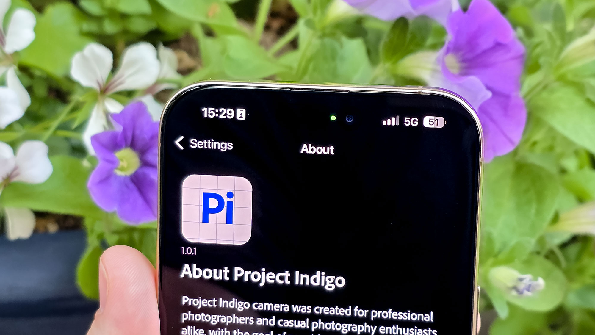 Adobe Project Indigo