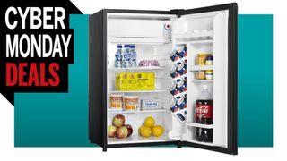 Danby mini-fridge