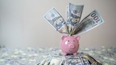 Hundred-dollar bills are stuffed into the slot of a piggy bank that sits atop a mound of more hundred-dollar bills.