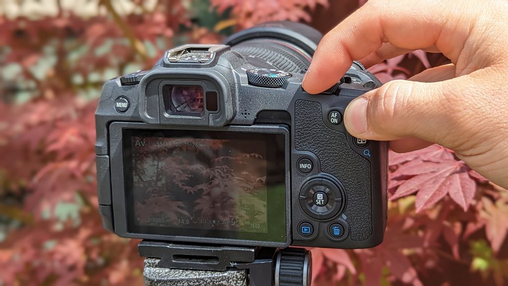 Canon EOS R8 review | Space