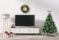 Sky sale: Christmas decorated living room with TV