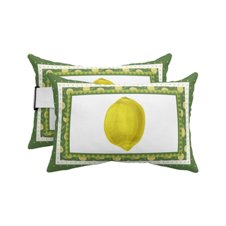 An outdoor cushion with a lemon print