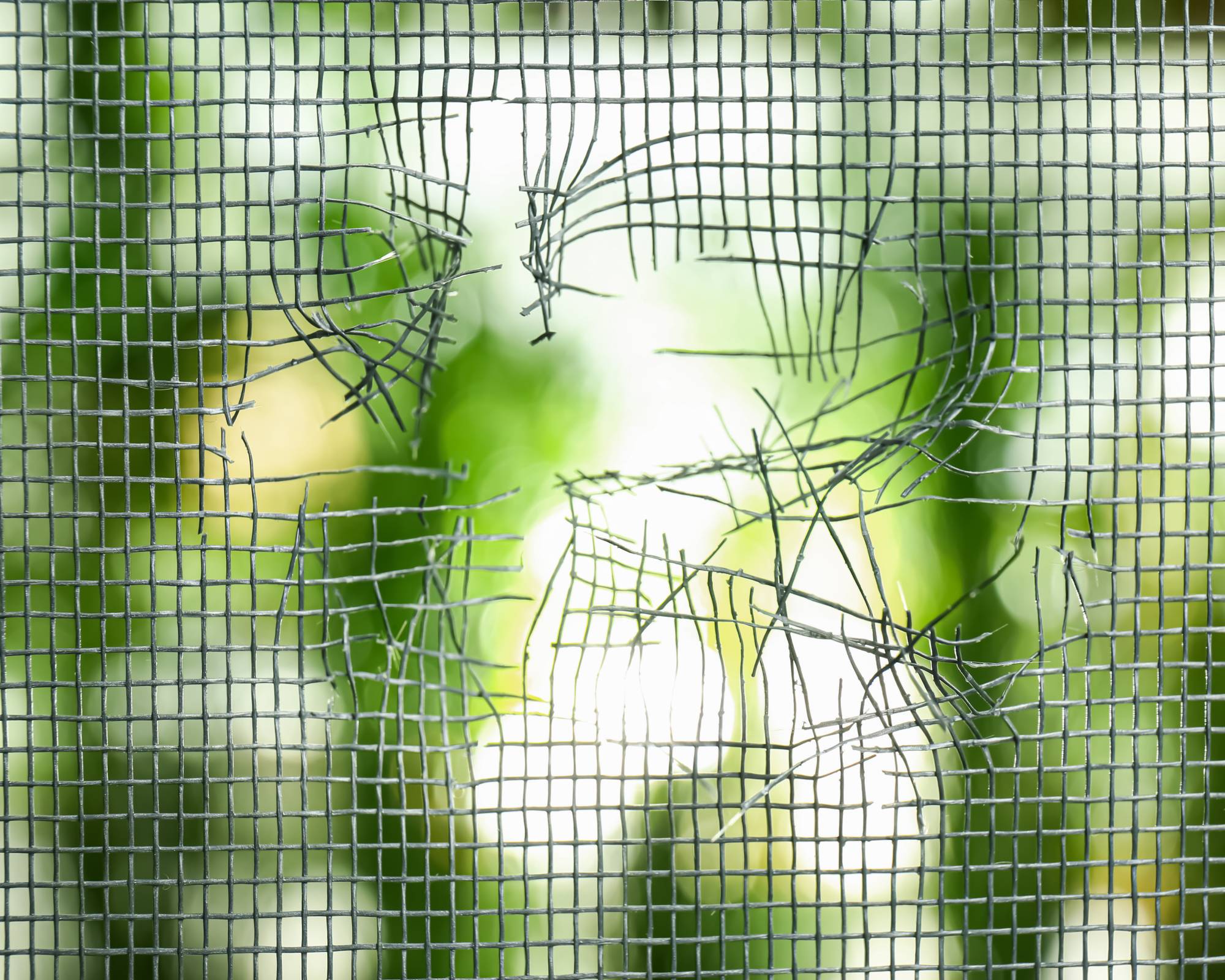 Hole in window screen