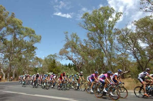 The peloton race towards Tanunda