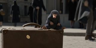 Niffler Harry Potter Fantastic Beasts 2