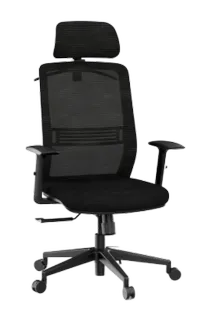 FlexiSpot OC17 office chair
