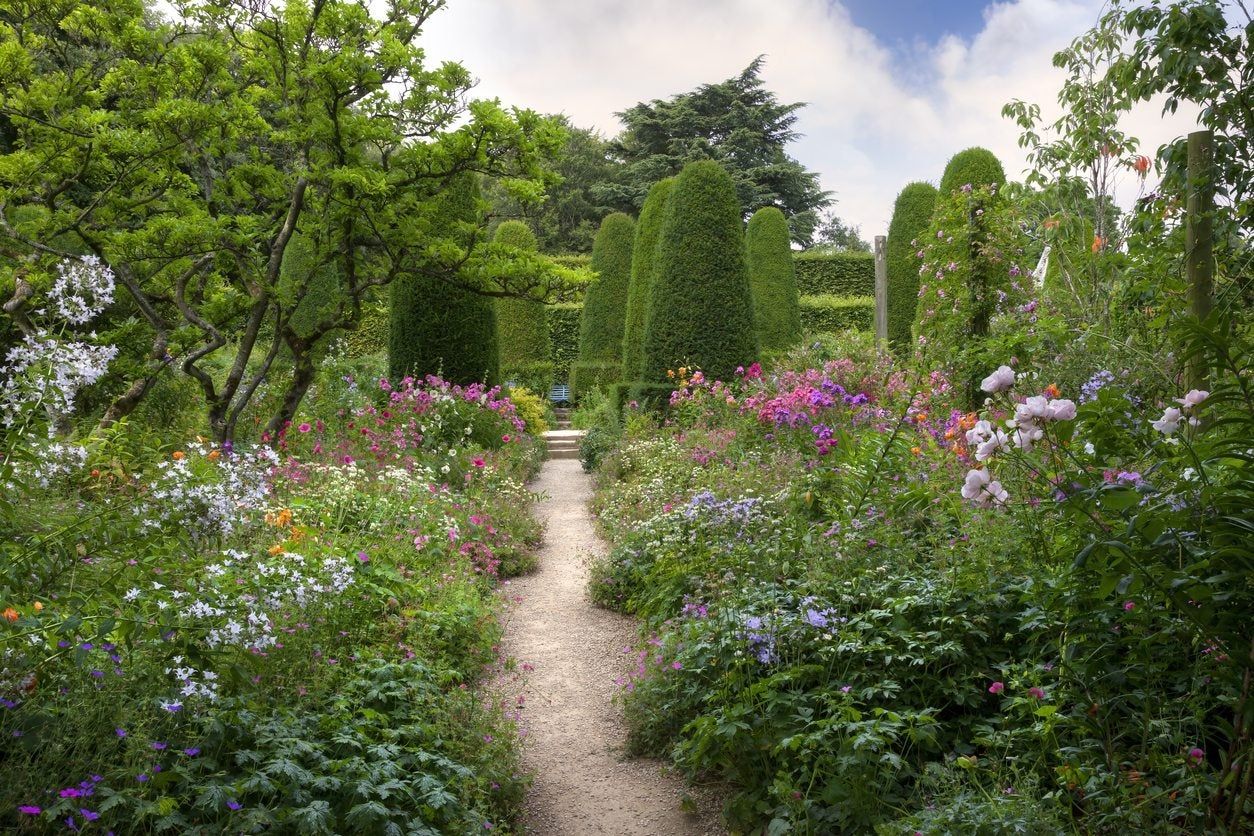 cutting garden