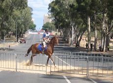 adelaide.jpg