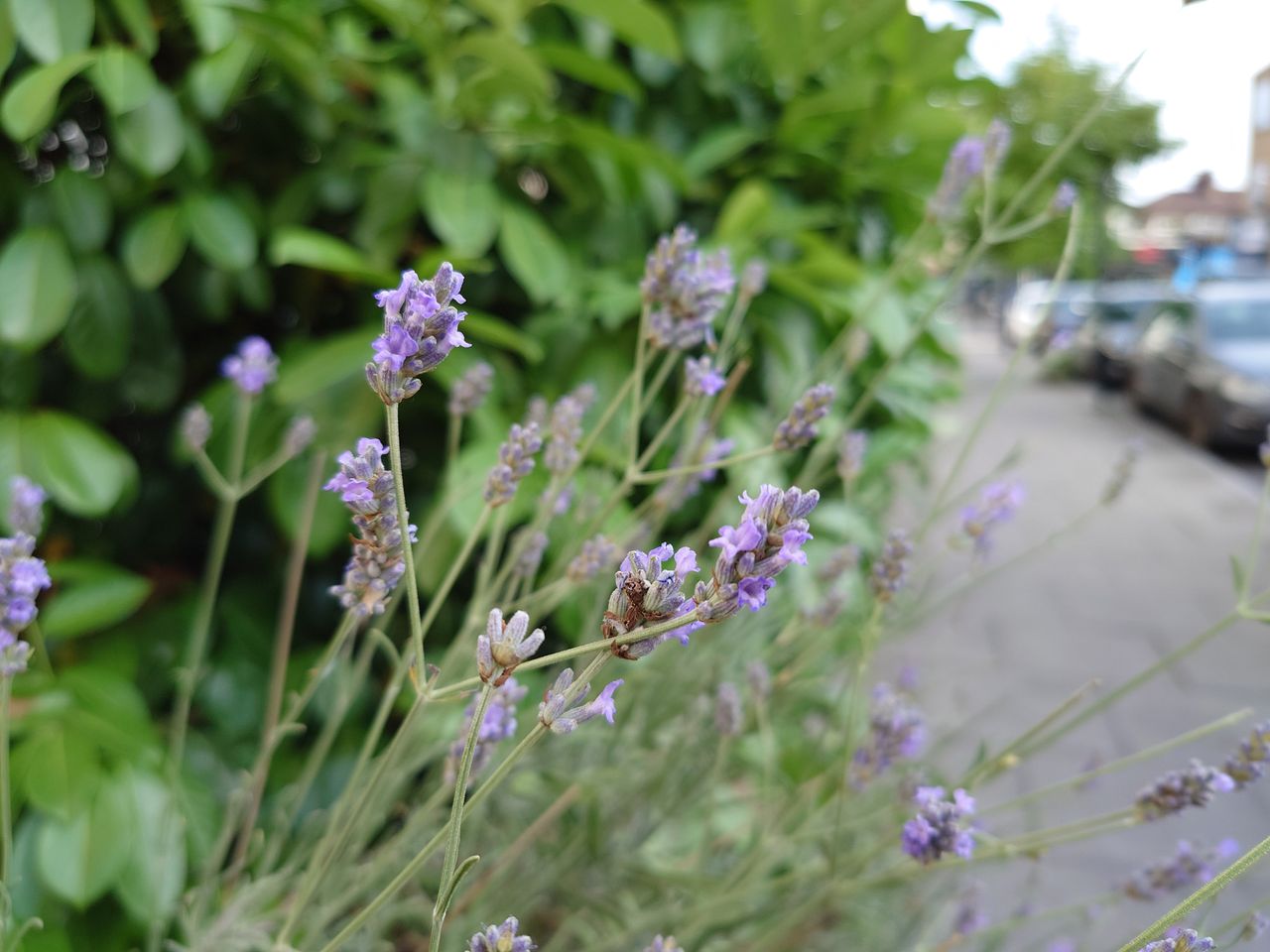 Photos taken on the Sony Xperia 1 IV