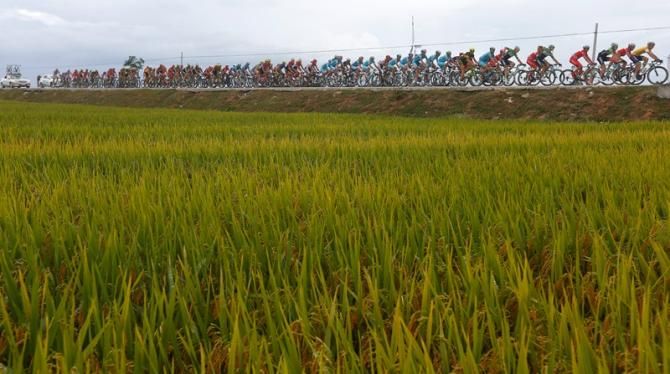The Tour of Hainan peloton.