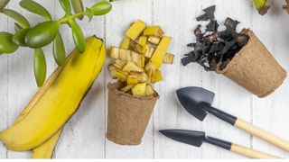 Banana peels for compost