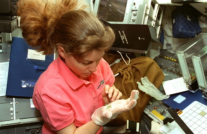 Astronaut Cady Coleman, gravity, plants