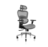 NOUHAUS Ergo3D Ergonomic Office Chair: