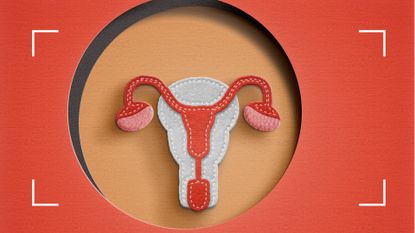 An illustration of ovaries to represent the early symptoms of ovarian cancer