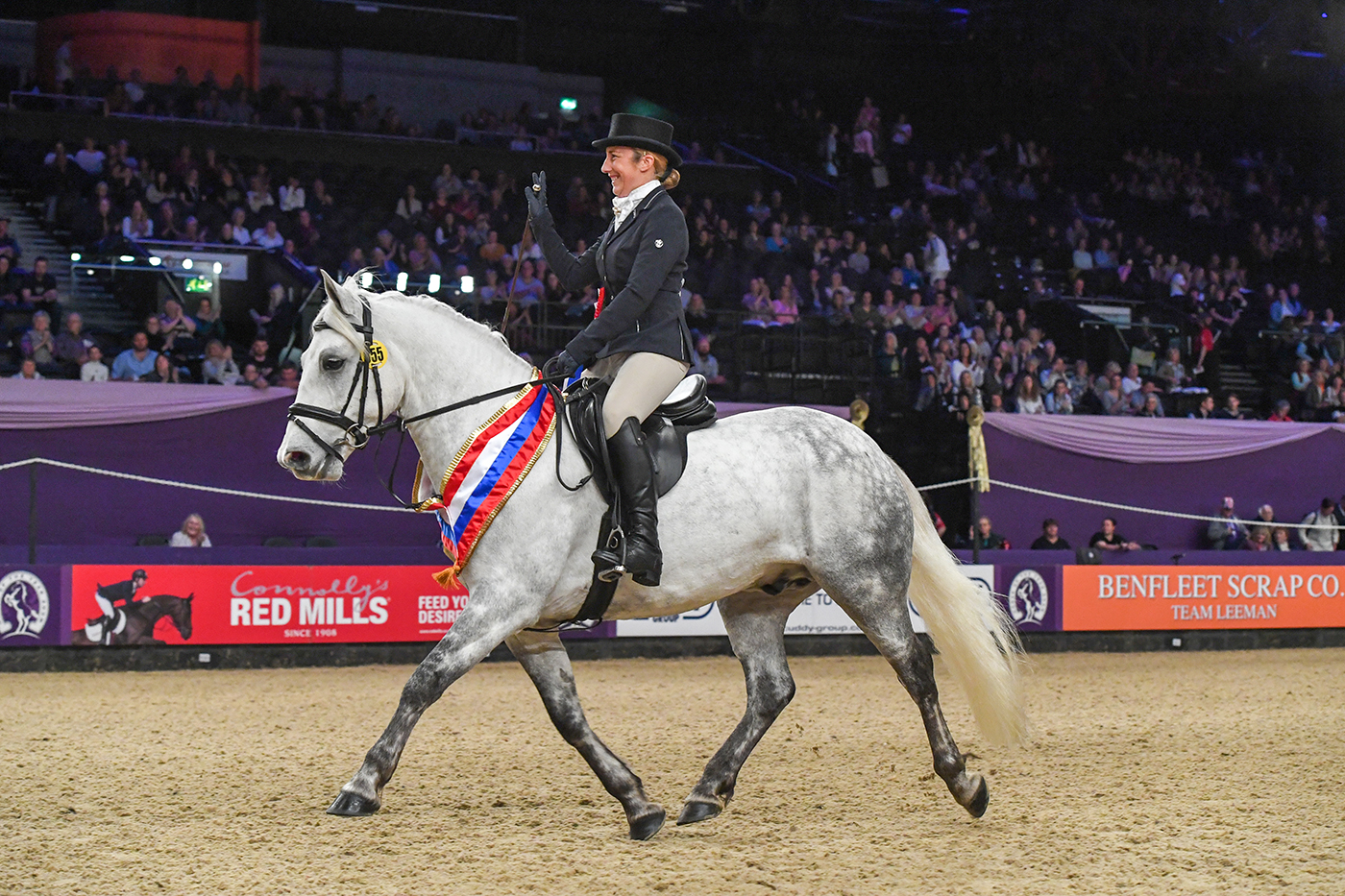 Lisa Sergeant riding LINSFORD EAR TO THE GROUND, winner of the SEIB Search for a Star Championshi during the Horse of The Year Show at the NEC in Birmingham in the UK between the 2nd - 6th October 2019