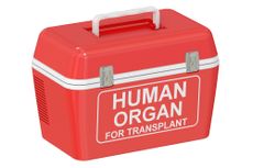 organ transplant cooler