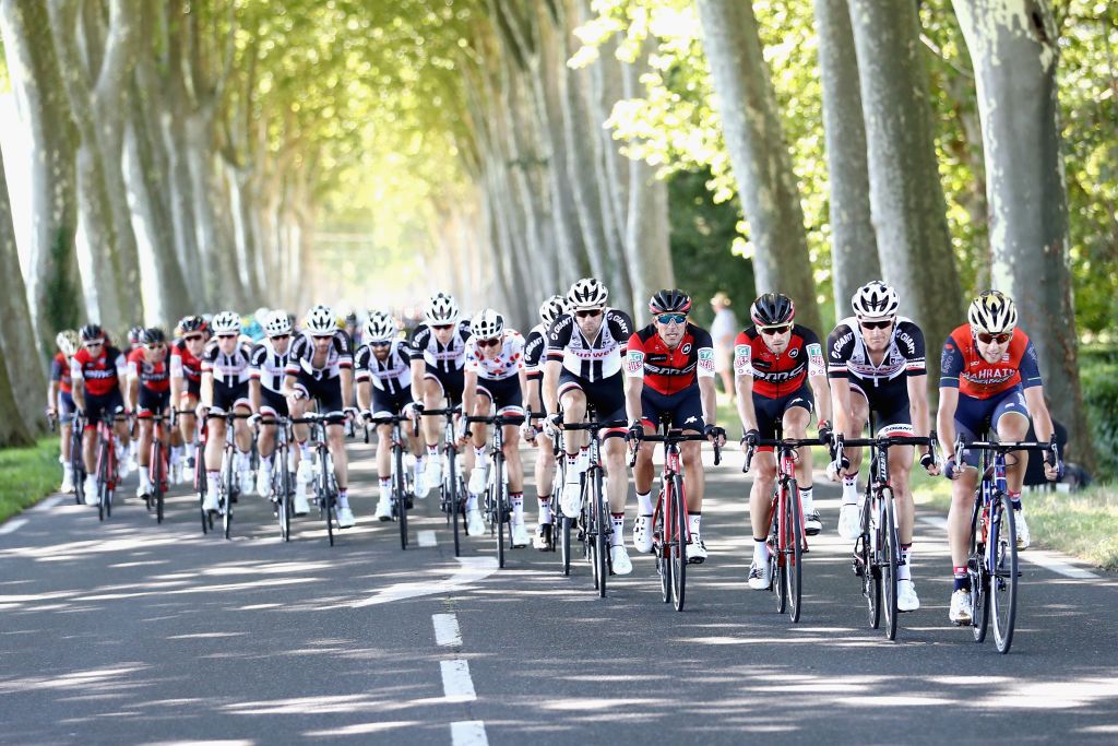 The peloton on stage 14 of the Tour de France