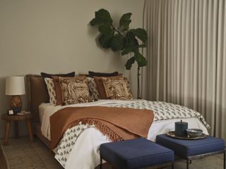 A bedroom with stylish soft furnishings, neutral walls, and a plant in the corner