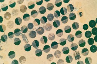 These crop circles have been created using a technique called center-pivot irrigation.