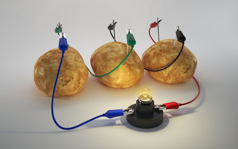 Potato Battery Circuit Diagram
