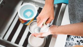 washing dog food bowl