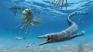 Illustration of a lizard-like creature under the ocean along with a few fish and another animal that resembles a snail