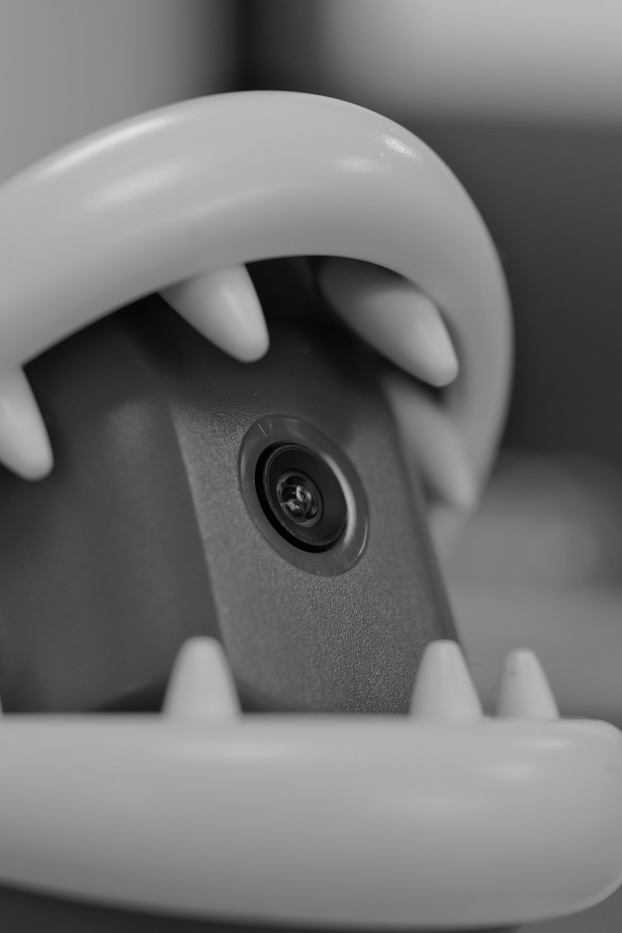 Leica Q3 Monochrom vs Leica Leitzphone macro comparison