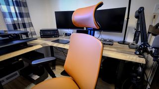 The backrest and headrest of the Branch Ergonomic Chair Pro