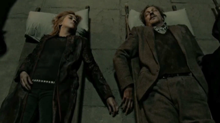 Remus and Tonks, the parents of Teddy, in Harry Potter and the Deathly Hallows Part 2.