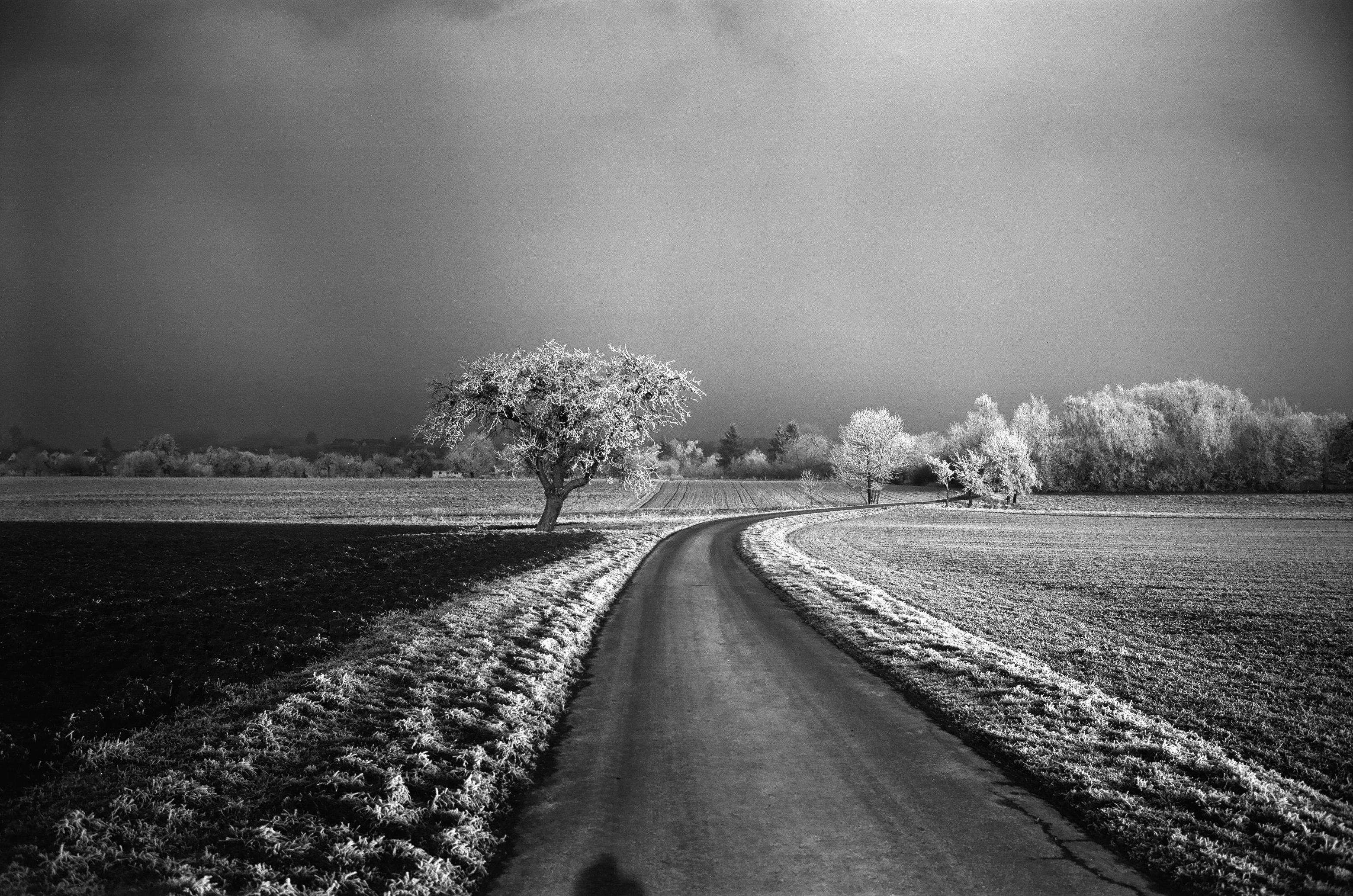 Leica Monopan 50 film samples