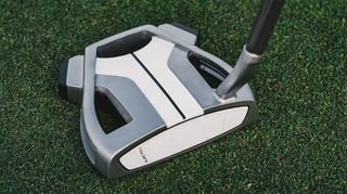 TaylorMade Spider X Putter at address
