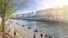 The Paris Seine 