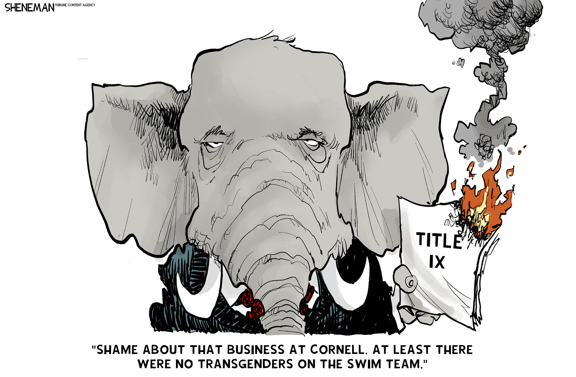 Political Cartoon