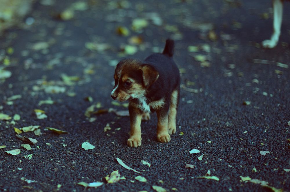 Doctors Thought a Woman Was Having a Panic Attack. She Actually Had