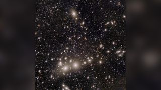 Euclid's view of the Perseus cluster of galaxies.