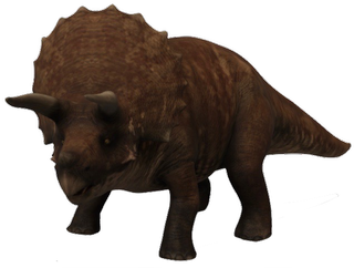 Triceratops Google Search 3D models