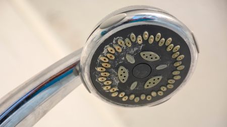 limescale on shower head
