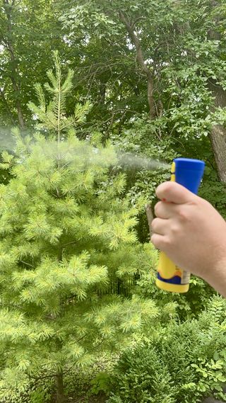 Sophia Vilensky's spraying Banana Boat Kids 360 Coverage Sunscreen in a forest.