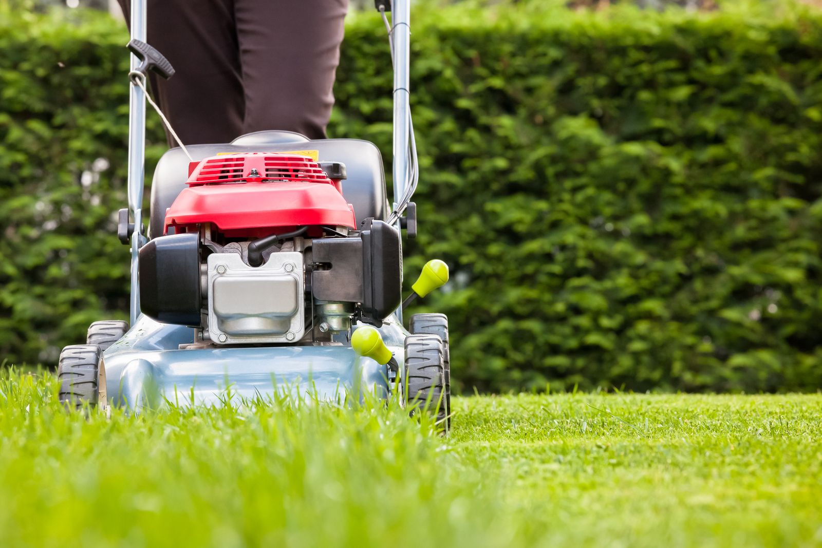 Spring lawn care tips: 7 steps to revive your turf | Gardeningetc