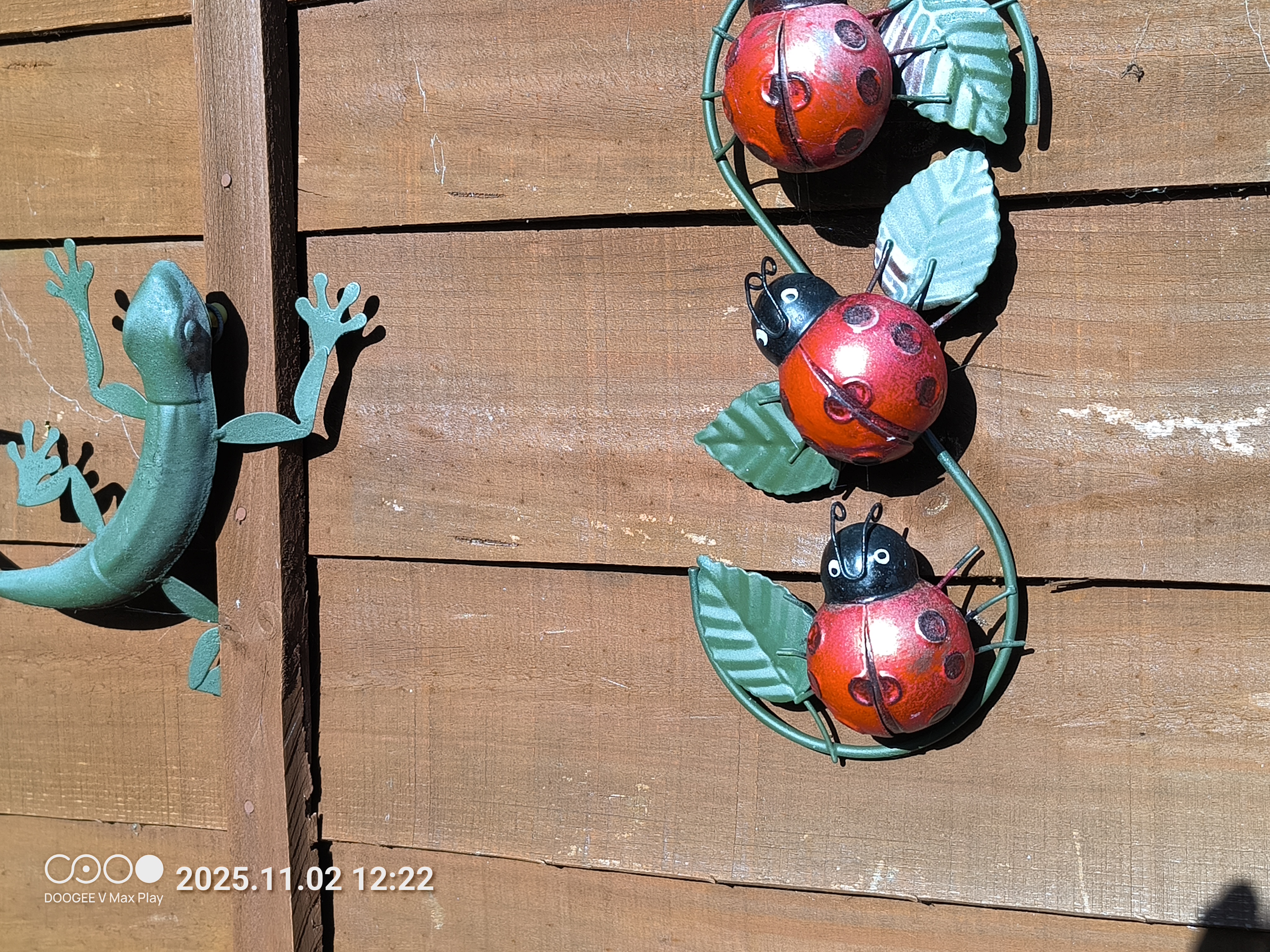 Doogee V Max Play Example images