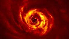 This image shows the disk around the young AB Aurigae star, where the European Southern Observatory's Very Large Telescope (VLT) has spotted signs of planet birth. Close to the center of the image, in the inner region of the disk, we see the "twist" (in very bright yellow) that scientists believe marks the spot where a planet is forming. This twist lies at about the same distance from the AB Aurigae star as Neptune from the sun. The image was obtained with the VLT's SPHERE instrument in polarized light.