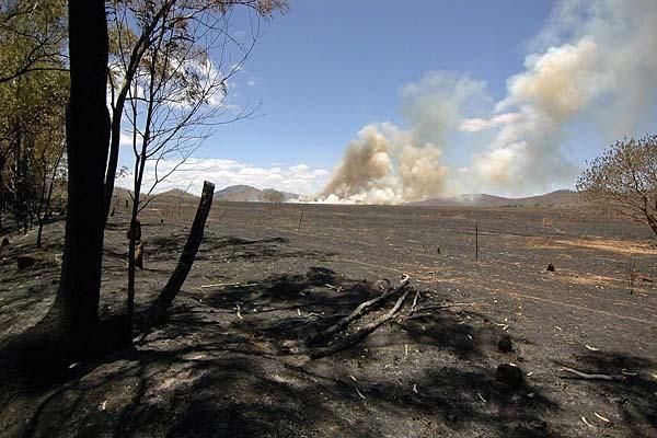 What remained of today's bushfire.