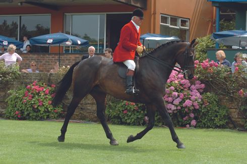 2004-mister-mcevoy.jpg