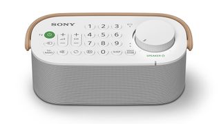 Sony SRS-LSR200 wireless speaker aims to boost TV sound around your home