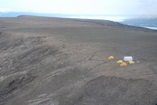 A fossil forest in the Canadian Arctic could live again as the planet warms.