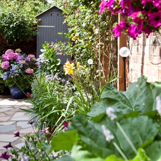 Flower beds in a garden