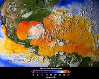 Data collected aboard NASA's Aqua satellite shows a 3-day average of actual sea surface temperatures from Aug. 25-27, 2005, when Hurricane Katrina was barreling toward the coast.