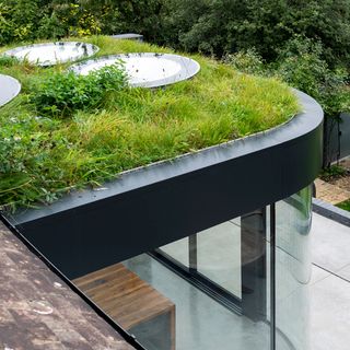 green roof on a modern extension which has glass walls and black edging